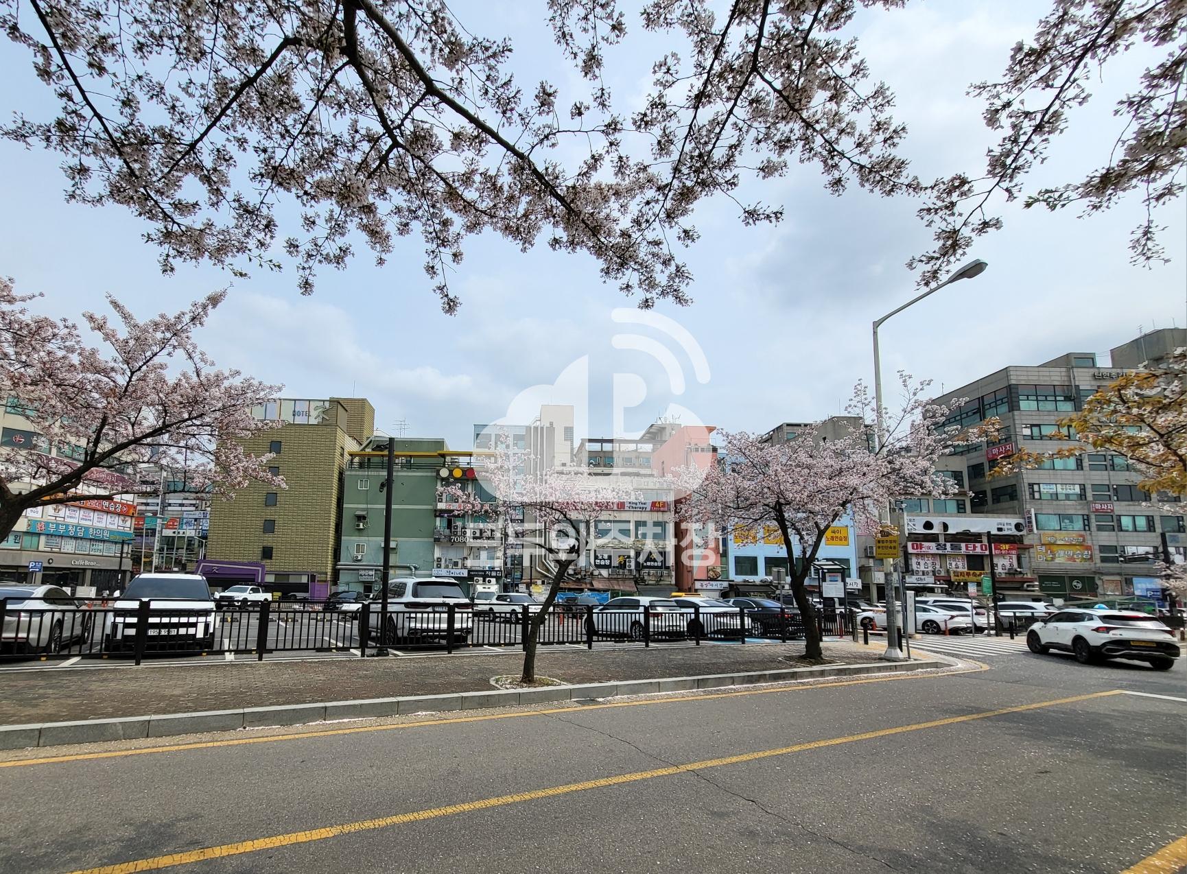 탄현 제1 공영 주차장 이미지 2