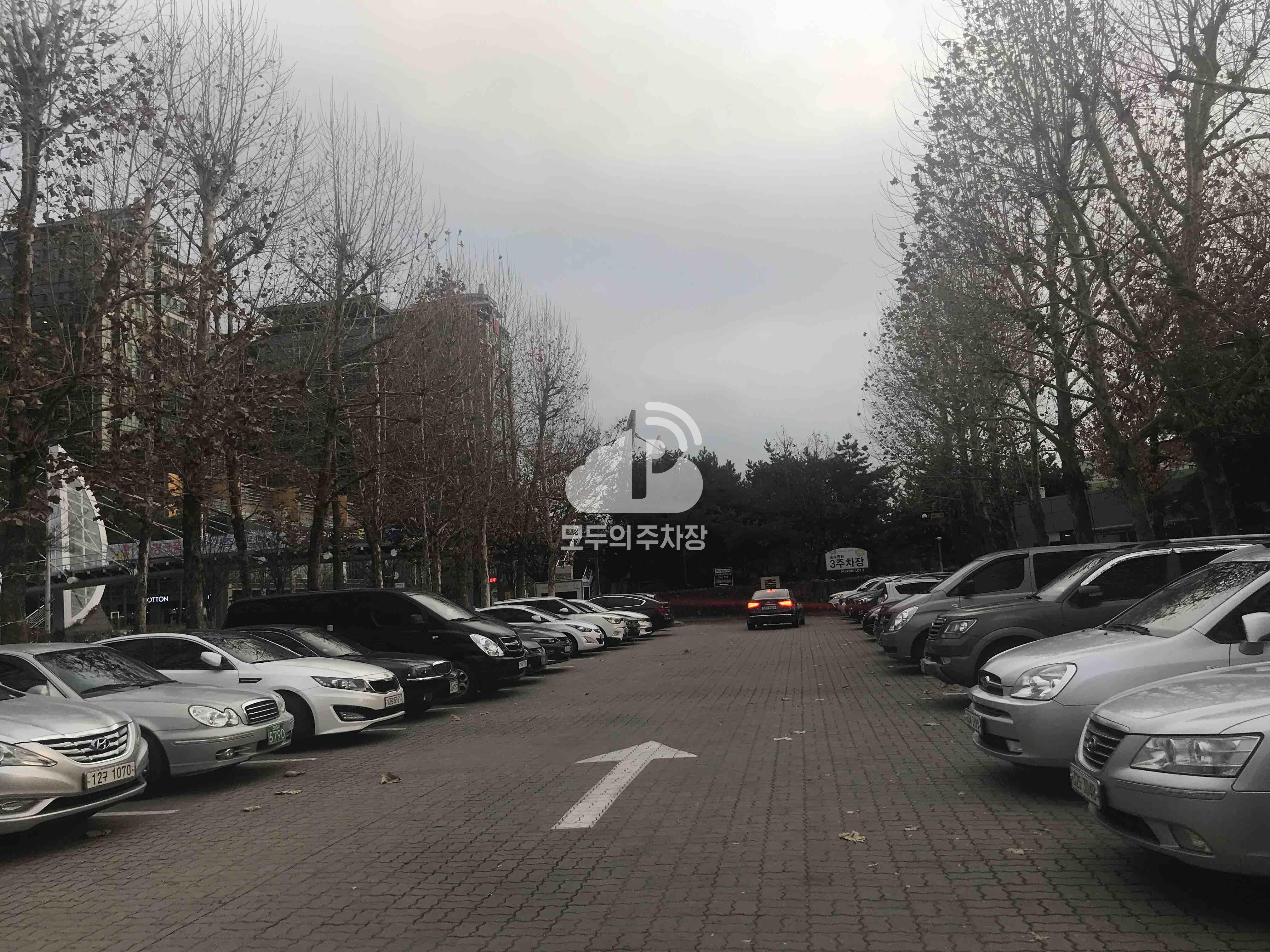 호수공원 제3 공영 주차장 이미지 3