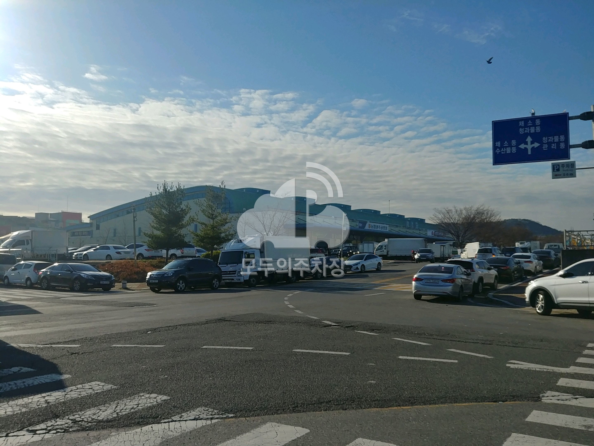 서부농수산물유통센터 주차장 이미지 2