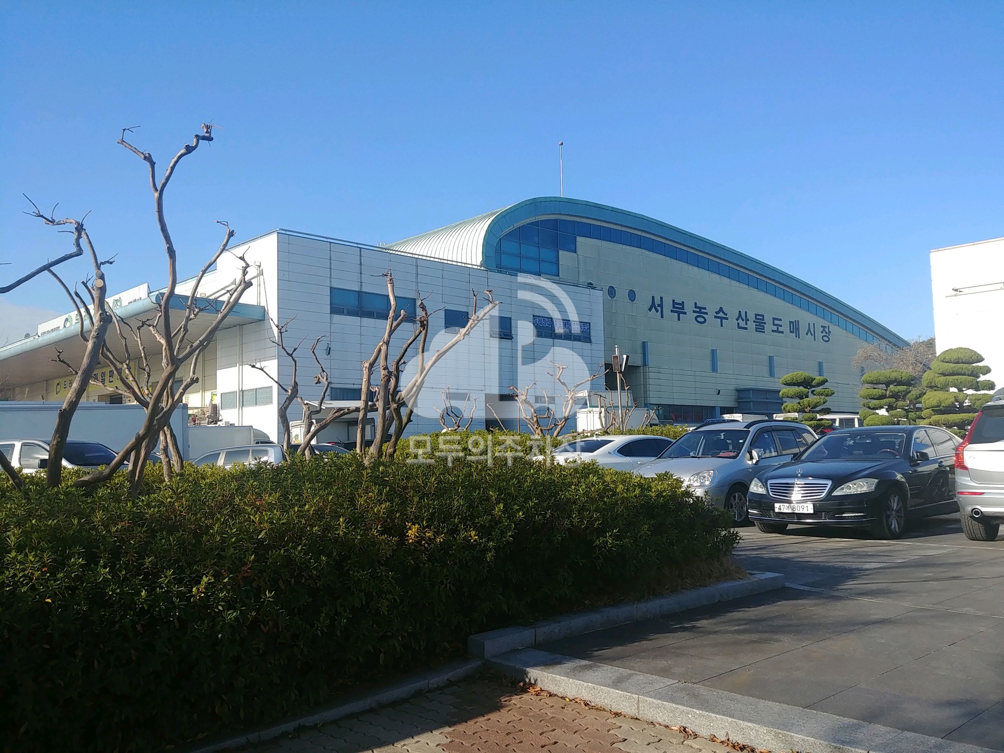 서부농수산물유통센터 주차장 이미지 1